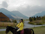 ../../bin/horse/12s.jpg - 8,629Bytes