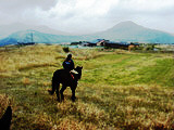 ../../../bin/horse/yufuin2/24s.jpg - 8,089Bytes