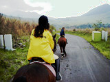 ../../../bin/horse/yufuin2/42s.jpg - 9,215Bytes
