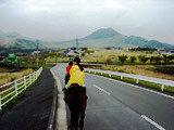 ../../../bin/horse/yufuin2/4s.jpg - 8,122Bytes