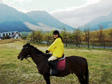 ../../../bin/horse/yufuin2/6s.jpg - 9,506Bytes